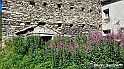 VBS_1 -  Plateau du Mont-Cenise, Grand Croix, Marmotte_-_0020 mt